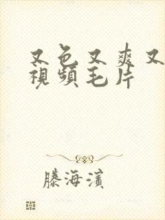 又色又爽又黄又视频毛片