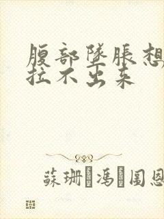 腹部坠胀想大便拉不出来