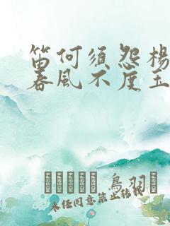 笛何须怨杨柳 春风不度玉门关是哪首诗