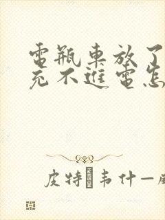 电瓶车放了几天充不进电怎么回事