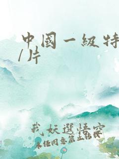 中国一级特黄大/片