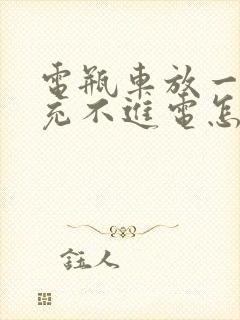 电瓶车放一冬天充不进电怎么回事