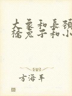 大象和长颈鹿搭桥兔子和小刺猬过河看图写话