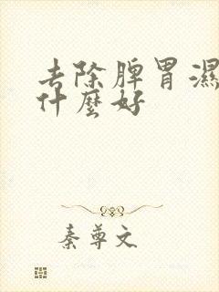 去除脾胃湿气吃什么好