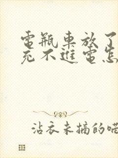 电瓶车放了几天充不进电怎么回事