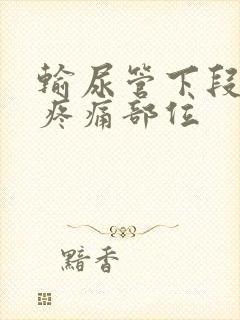 输尿管下段结石疼痛部位