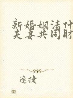 新婚姻法什么是夫妻共同财产