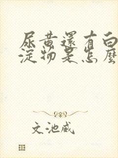 尿黄还有白色沉淀物是怎么回事