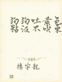 狗狗吐黄色泡沫粘液不吃东西