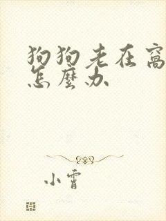 狗狗老在窝里尿怎么办