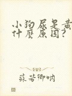 小狗尿是黄的是什么原因?