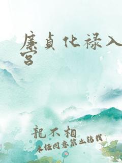 廉贞化禄入财帛宫