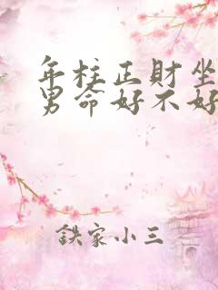 年柱正财坐正印男命好不好