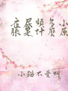 夜尿频多小腹坠胀是什么原因