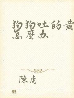 狗狗吐的黄粘液怎么办