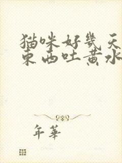 猫咪好几天不吃东西吐黄水