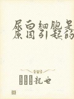 尿白细胞是什么原因引起的