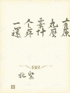 一个睾丸有点肿还疼什么原因