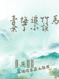 青梅追竹马后放弃了小说