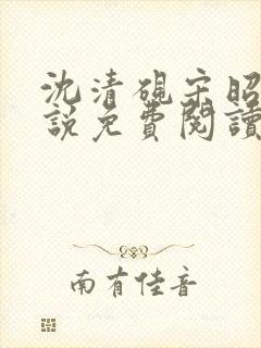 沈清砚宋昭汐小说免费阅读最新章节