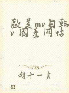 欧美mv日韩mv 国产网站