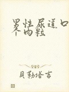 男性尿道口长两个肉粒