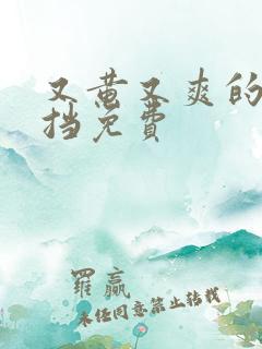 又黄又爽的无遮挡免费