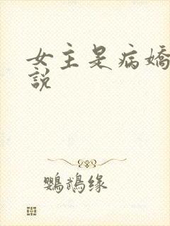 女主是病娇的小说