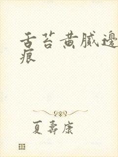 舌苔黄腻边有齿痕