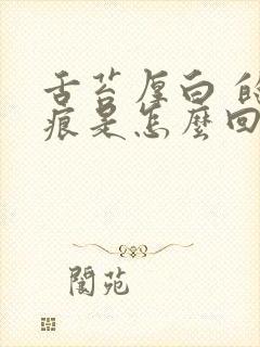 舌苔厚白 的齿痕是怎么回事