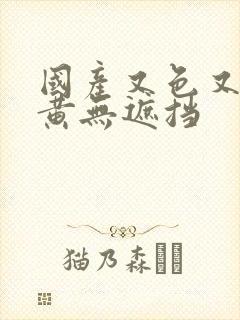 国产又色又爽又黄无遮挡