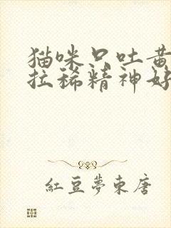 猫咪只吐黄水不拉稀精神好