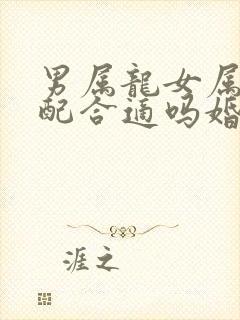 男属龙女属兔婚配合适吗婚姻如何