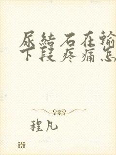 尿结石在输尿管下段疼痛怎么办