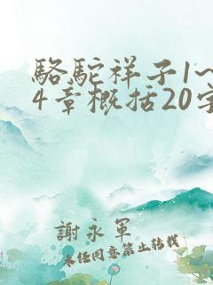 骆驼祥子1~24章概括20字