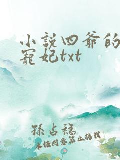 小说四爷的心尖宠妃txt
