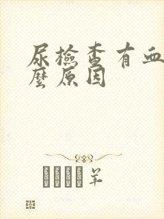 尿检查有血是什么原因