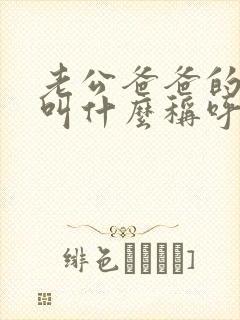 老公爸爸的哥哥叫什么称呼