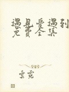 遇见爱遇到幸福免费全集