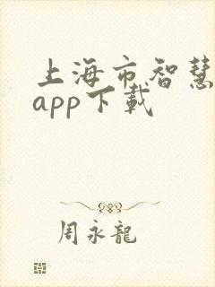 上海市智慧保安app下载