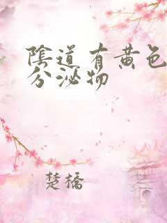 阴道有黄色液体分泌物