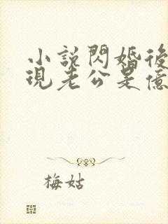 小说闪婚后,发现老公是亿万总裁免费阅读