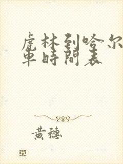 虎林到哈尔滨客车时间表