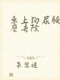 车上狗尿骚味怎么去除