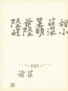 陆爷呆萌甜妻苏醒陆明深小说