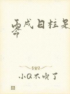 丙戌日柱是什么命