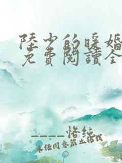 陆少的暖婚新妻免费阅读全文最新