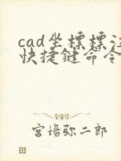 cad坐标标注快捷键命令大全