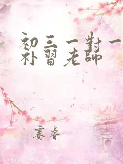 初三一对一数学补习老师