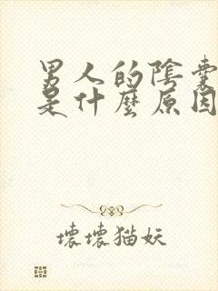 男人的阴囊潮湿是什么原因